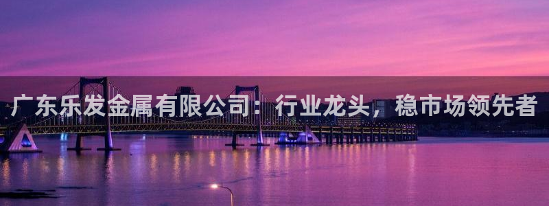 南宫NG注册链接入口：广东乐发金属有限公司：行业龙头，稳市场领先者