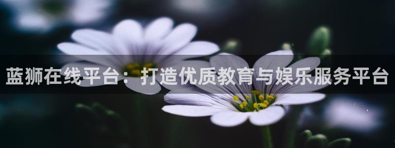 南宫NG平台官网版下载：蓝狮在线平台：打造优质教育与娱乐服务平台