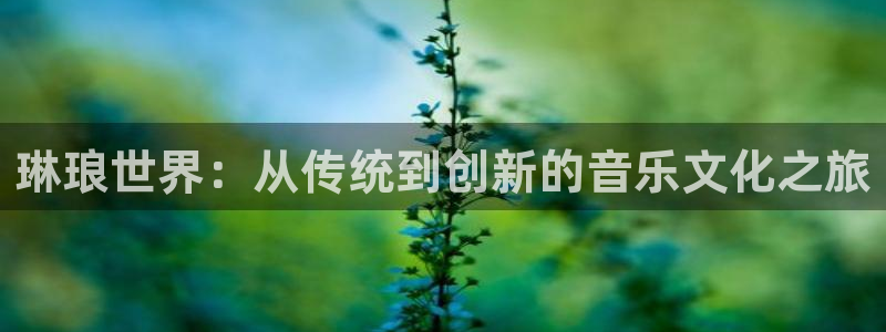 南宫NG体育3在线注册：琳琅世界：从传统到创新的音乐文化之旅