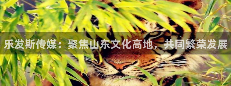 南宫NG游戏试玩：乐发斯传媒：聚焦山东文化高地，共同繁荣发展