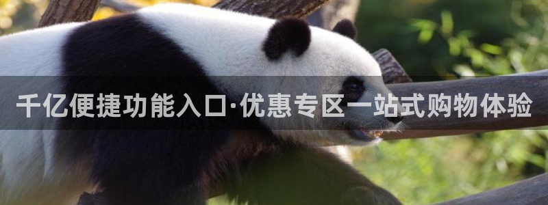 南宫NG3：千亿便捷功能入口·优惠专区一站式购物体验