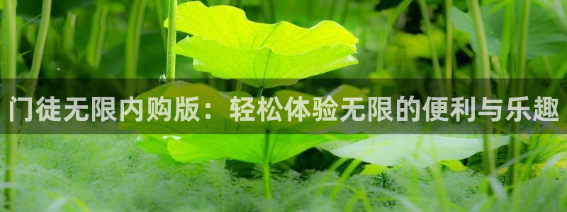 南宫NGapp哪个模式容易赢：门徒无限内购版：轻松体验无限的便利与乐趣
