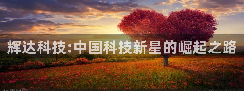 福建南宫NG机电股份公司：辉达科技:中国科技新星的崛起之路