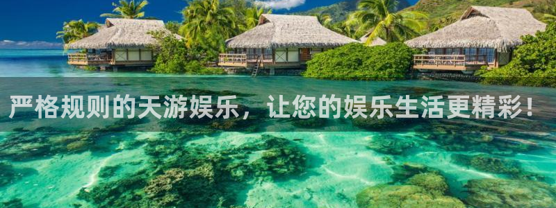 南宫NG分红代理计划：严格规则的天游娱乐，让您的娱乐生活更精彩！