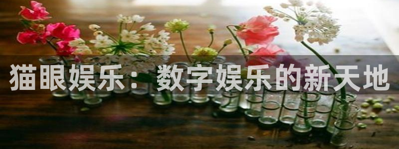 南宫NG官网版下载链接：猫眼娱乐：数字娱乐的新天地