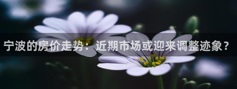 南宫NG平台注册账号：宁波的房价走势：近期市场或迎来调整迹象？