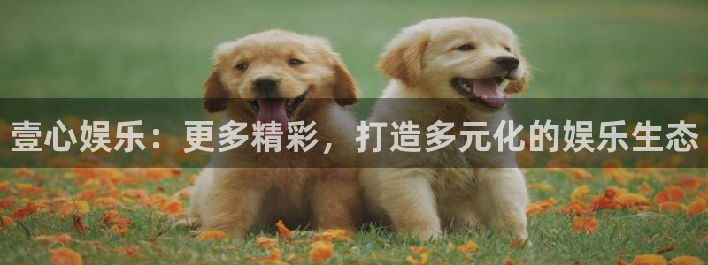 佛山市南海南宫NG机电仪器有限公司：壹心娱乐：更多精彩，打造多元化的娱乐生态