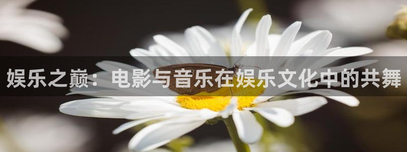南宫NG下载链接是多少：娱乐之巅：电影与音乐在娱乐文化中的共舞