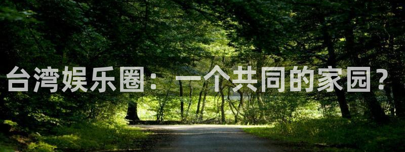 南宫NGpg电子游戏在线玩：台湾娱乐圈：一个共同的家园？