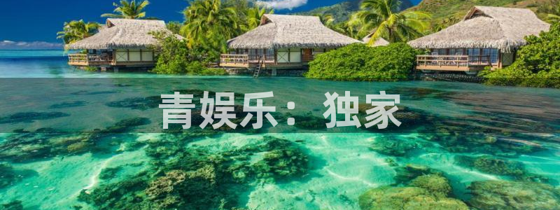 南宫NG代理：青娱乐：独家
