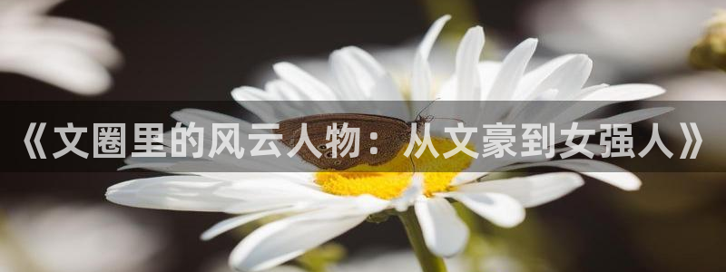 南宫NG4代理：《文圈里的风云人物：从文豪到女强人》