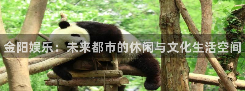 南宫NG体育和杏耀是哪个公司的：金阳娱乐：未来都市的休闲与文化生活空间