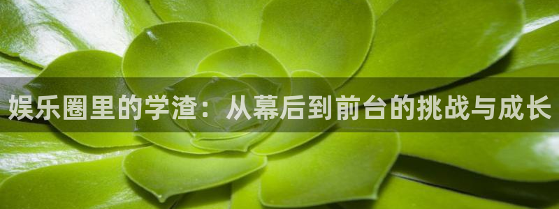 南宫NG环保：娱乐圈里的学渣：从幕后到前台的挑战与成长