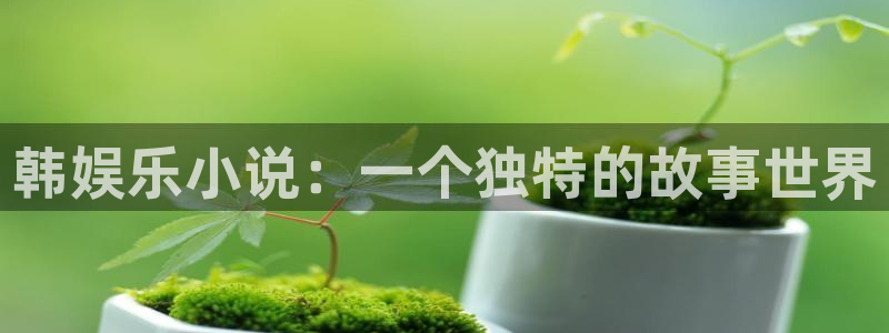 南宫NG体育凯捷代理注册：韩娱乐小说：一个独特的故事世界
